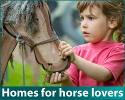 Properties with equestrian facilities
