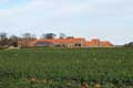    Long Lea, Lawhead, Tyninghame, Tyninghame