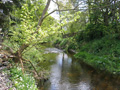 Stream