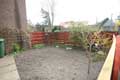 backgarden