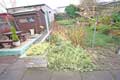 back garden
